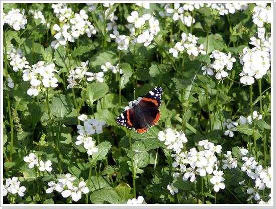 0146_sizilien_2012 (139).jpg